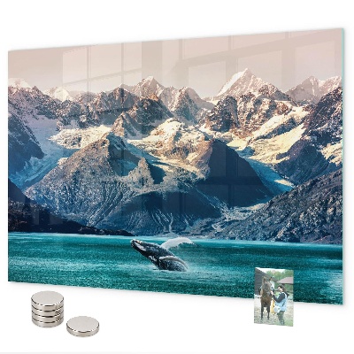 Magnetisch bord Walviswater