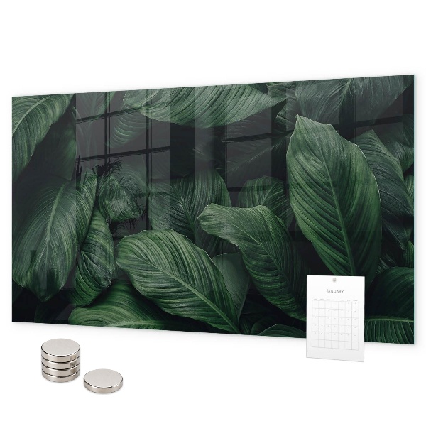 Magnetisch bord Tropische monstera