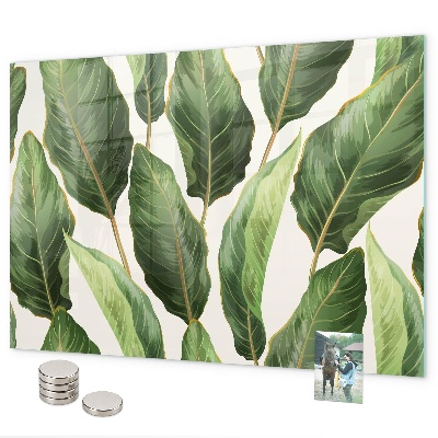 Magnetisch bord Palmbladeren