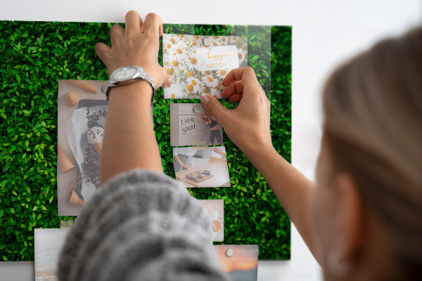 Magneetbord Hegbladeren