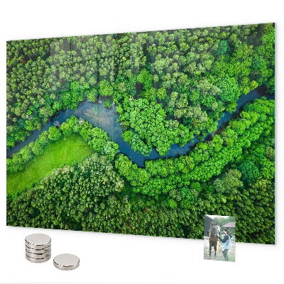 Magnetisch bord Rivier in het bos