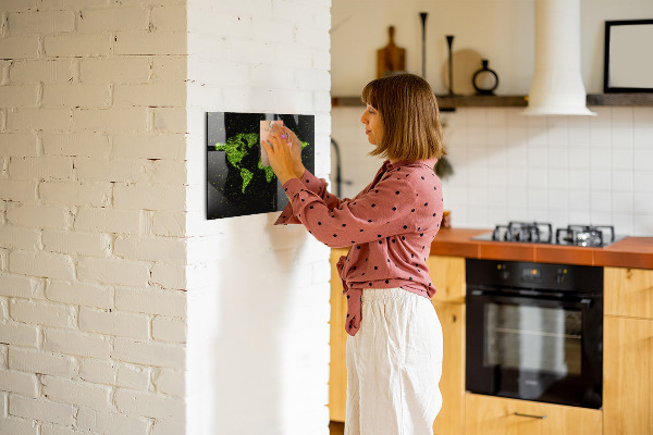 Magneetbord Wereldkaart