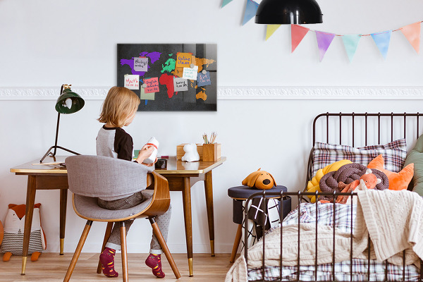 Magnetisch bord Wereldkaart