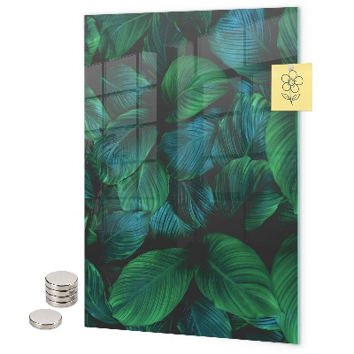 Magneet bord Grote groene bladeren