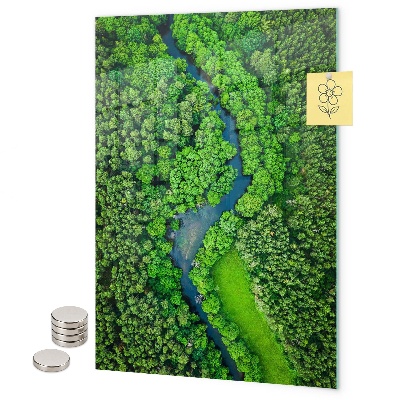 Magneet bord Bosbomen rivier