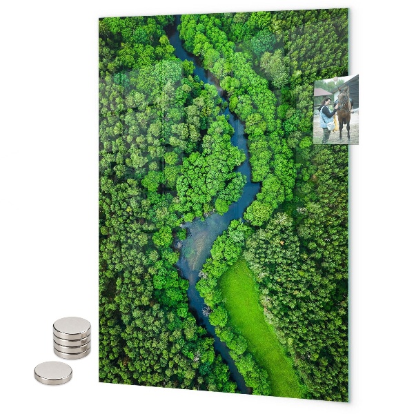 Magnet board Tropische bladeren