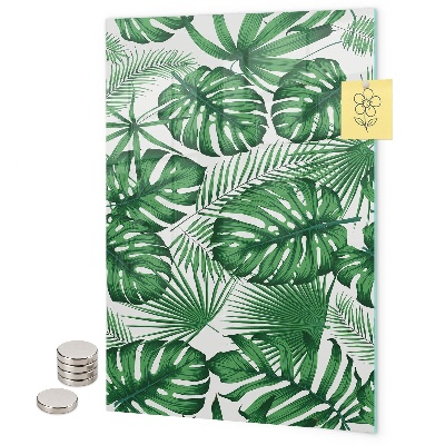 Magnet board Tropische monstera-bladeren