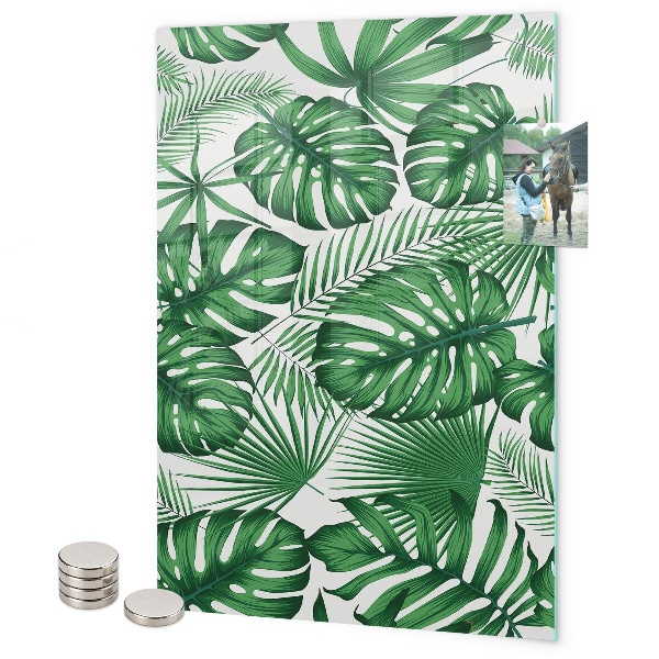 Magnet board Tropische monstera-bladeren