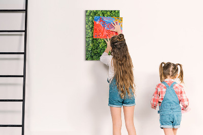 Magneet bord bomen natuur bos