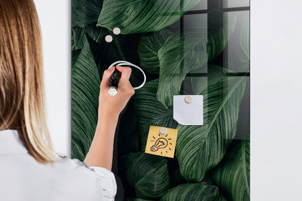 Memobord van glas met print inclusief neodymium magneten Groen bord voor notities en foto's