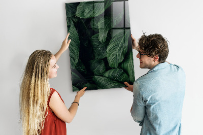 Memobord van glas met print inclusief neodymium magneten Groen bord voor notities en foto's