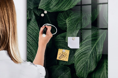 Memobord van glas met print inclusief neodymium magneten Groen bord voor notities en foto's