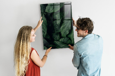 Memobord van glas met print inclusief neodymium magneten Groen bord voor notities en foto's