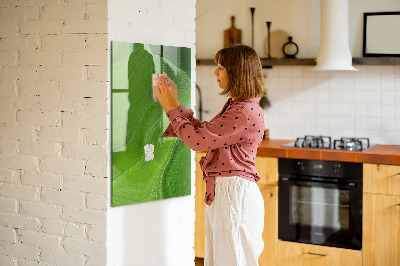 Memobord van glas met print inclusief neodymium magneten Groen bord voor foto's en notities