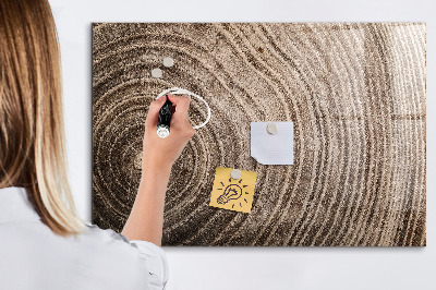 Decoratief glazen wandbord beschrijfbaar en magnetisch Memobord met magneten en foto's