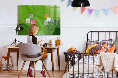 Memobord van glas met print inclusief neodymium magneten Groen fotoprikbord