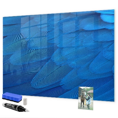 Memobord van glas met print inclusief neodymium magneten Blauw bord voor foto's en notities