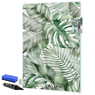 Memobord van glas met print inclusief neodymium magneten Groen bord voor foto's en notities