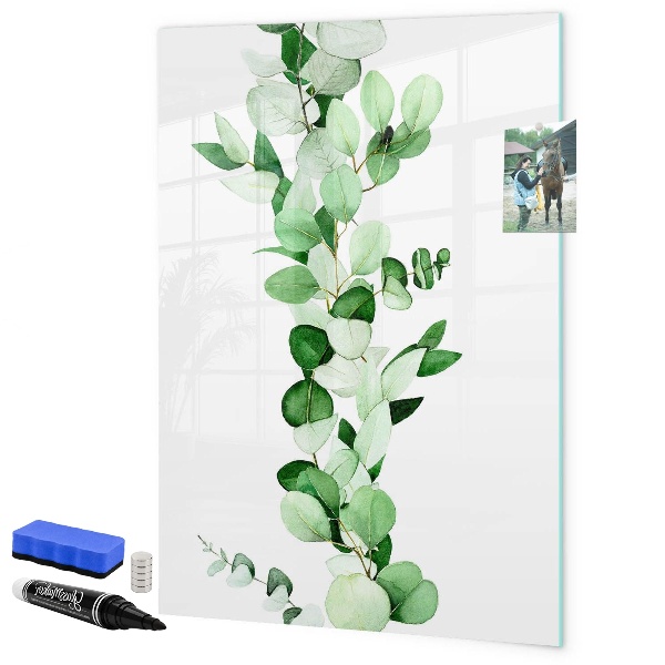 Memobord van glas met print inclusief neodymium magneten Groen thema met ruimte voor foto's