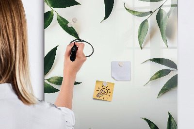 Memobord van glas met print inclusief neodymium magneten Groen bord voor foto's en notities