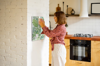 Decoratief glazen wandbord beschrijfbaar en magnetisch Groen bord met ruimte voor foto's