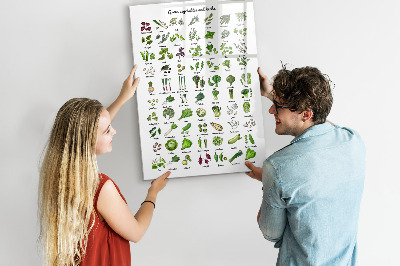 Memobord van glas met print inclusief neodymium magneten Groene groenten en kruiden in grafische weergave