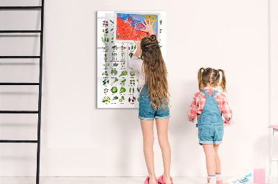 Memobord van glas met print inclusief neodymium magneten Groene groenten en kruiden in grafische weergave