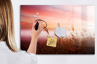 Memobord van glas met print inclusief neodymium magneten Een creatieve ruimte voor het presenteren van foto's