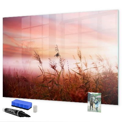 Memobord van glas met print inclusief neodymium magneten Een creatieve ruimte voor het presenteren van foto's