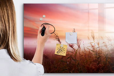 Memobord van glas met print inclusief neodymium magneten Een creatieve ruimte voor het presenteren van foto's