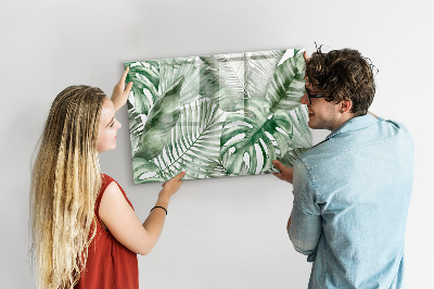 Decoratief glazen wandbord beschrijfbaar en magnetisch Groene poster met foto's en accessoires