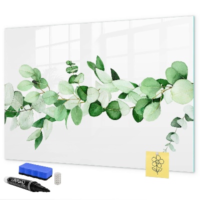 Decoratief glazen wandbord beschrijfbaar en magnetisch Groen bord voor foto's en notities