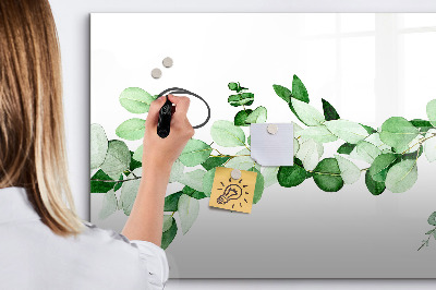 Decoratief glazen wandbord beschrijfbaar en magnetisch Groen bord voor foto's en notities