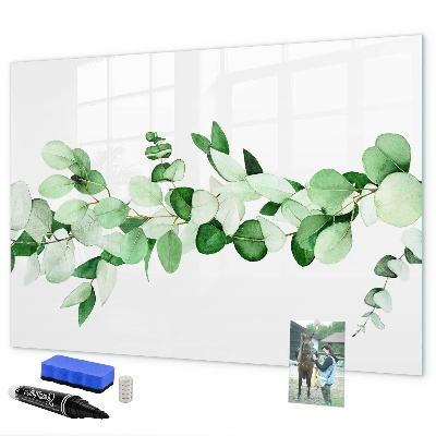 Decoratief glazen wandbord beschrijfbaar en magnetisch Groen bord voor foto's en notities