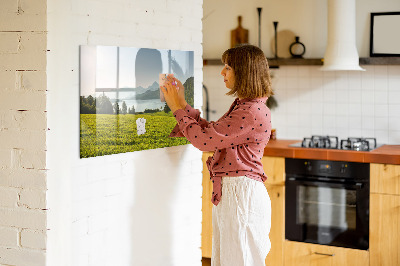 Decoratief glazen wandbord beschrijfbaar en magnetisch Een creatieve ruimte om je herinneringen tentoon te stellen.