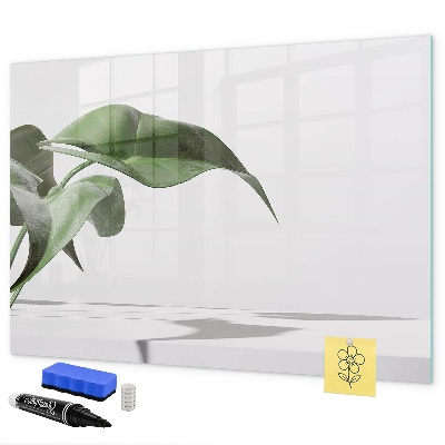 Decoratief glazen wandbord beschrijfbaar en magnetisch Planten en herinneringen aan de muur