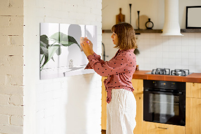 Decoratief glazen wandbord beschrijfbaar en magnetisch Planten en herinneringen aan de muur