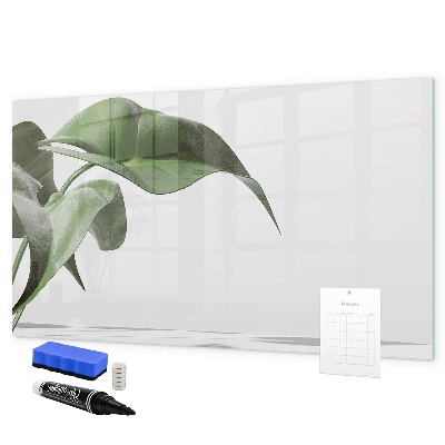 Decoratief glazen wandbord beschrijfbaar en magnetisch Planten en herinneringen aan de muur