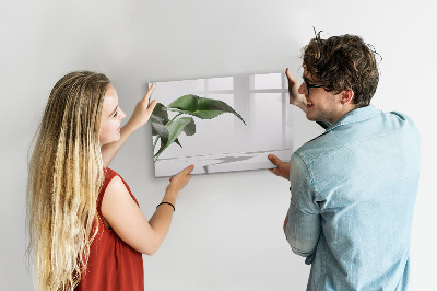 Decoratief glazen wandbord beschrijfbaar en magnetisch Planten en herinneringen aan de muur