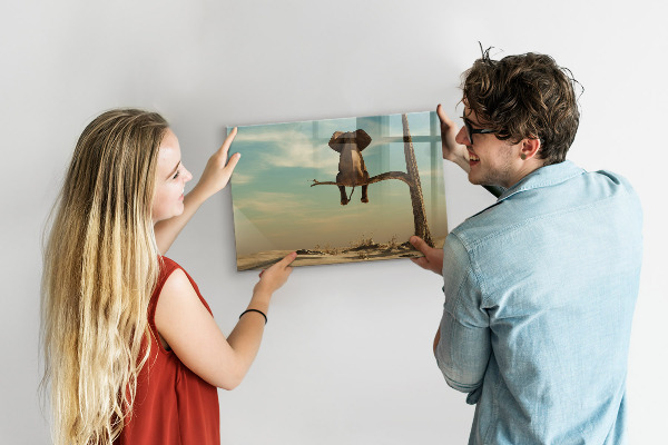 Memobord van glas met print inclusief neodymium magneten Olifanten en herinneringen aan de muur