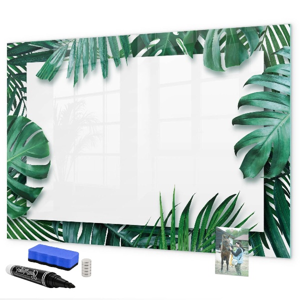Memobord van glas met print inclusief neodymium magneten Groen bord voor foto's en notities