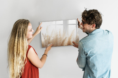 Decoratief glazen wandbord beschrijfbaar en magnetisch Modern prikbord voor foto's en notities