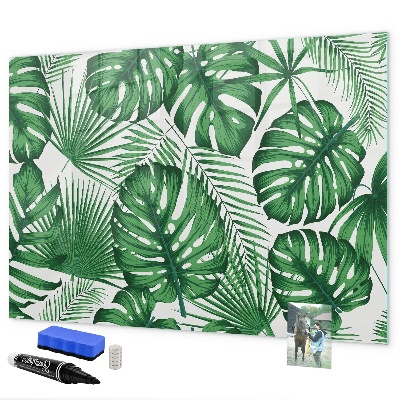 Decoratief glazen wandbord beschrijfbaar en magnetisch Groen bord voor foto's en notities