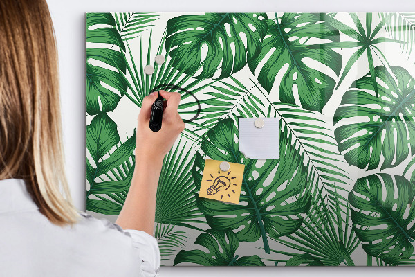 Decoratief glazen wandbord beschrijfbaar en magnetisch Groen bord voor foto's en notities