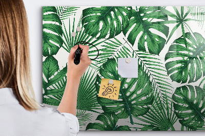 Decoratief glazen wandbord beschrijfbaar en magnetisch Groen bord voor foto's en notities