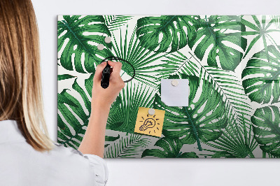 Decoratief glazen wandbord beschrijfbaar en magnetisch Groen bord voor foto's en notities
