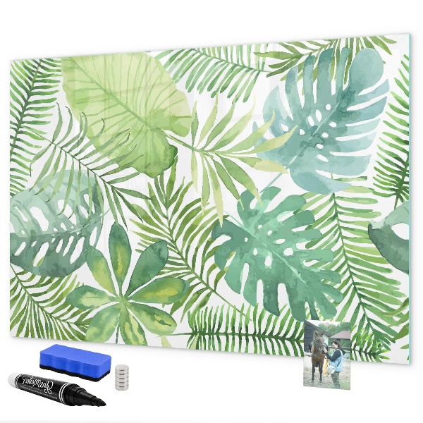 Decoratief glazen wandbord beschrijfbaar en magnetisch Groen bord voor foto's en notities