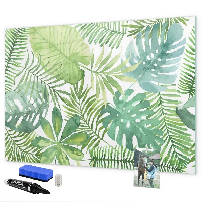Decoratief glazen wandbord beschrijfbaar en magnetisch Groen bord voor foto's en notities