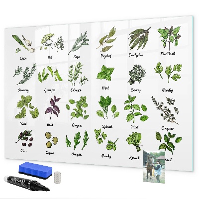Decoratief glazen wandbord beschrijfbaar en magnetisch Kruiden en foto's op één plek