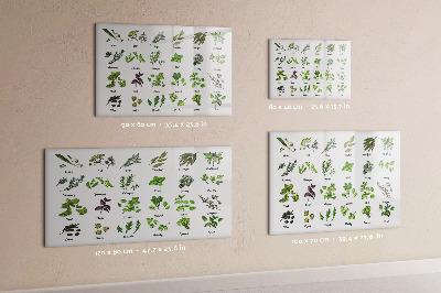 Decoratief glazen wandbord beschrijfbaar en magnetisch Kruiden en foto's op één plek
